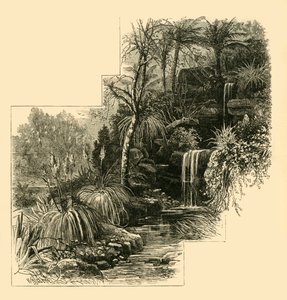 De Tropische Tuinen, Battersea Park, c1878 door Unbekannt