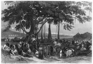 De aankomst van de contingentmacht van de Sikh onregelmatige cavalerie, India, ca. 1860 door Unbekannt