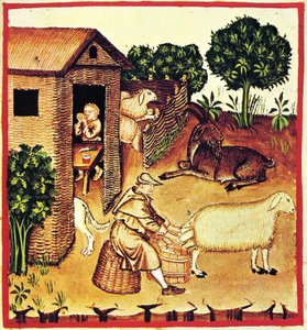 De productie van kaas. Een miniatuur uit Tacuinum Sanitatis, Tweede Helft van de 14e eeuw