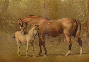 Volbloed Merrie en Veulen, ca. 1879 door Unbekannt