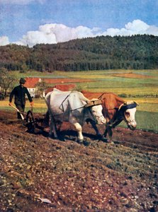 Tilling, Duitsland