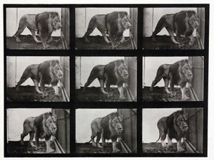 Time-lapse foto