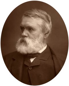 Tom Taylor, dramaturg en criticus, 1881 door Unbekannt