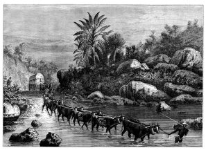 Reizen in Griqualand, Zuid-Afrika, ca. 1890