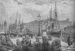Haven van Triëst, 1902
