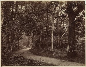 Zonder titel landschap, vroege 1860s door Unbekannt