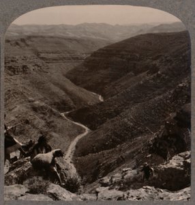 Vallei van de Arno, herder en schapen op de voorgrond, ca. 1900 door Unbekannt