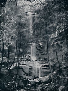 Vallei van de Wateren, Blue Mountains, ca. 1900 door Unbekannt