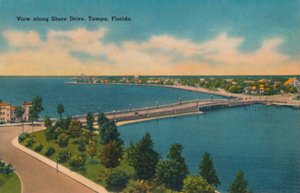 Uitzicht langs Shore Drive, Tampa, Florida