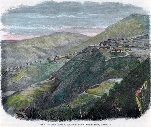 Uitzicht op Newcastle, in de Blue Mountains, Jamaica, ca. 1880