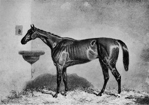 Virago, 1851-1869, 1911
