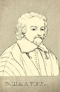 W. Harvey