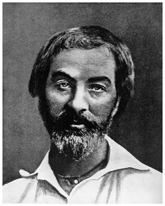 Walt Whitman, Amerikaanse dichter