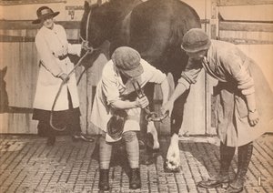 Vrouwen als hoefsmeden in het paardenhospitaal van een groot transportbedrijf, ca. 1916, 1935