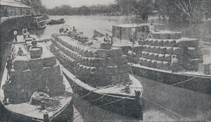 Wol Barges op de Murray River