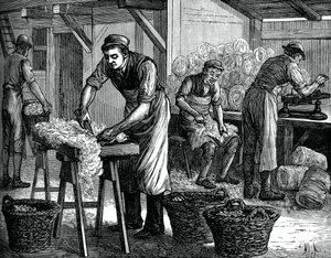 Wol sorteerders, c1880
