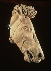 Hoofd van een paard, 4e-5e eeuw v.Chr.