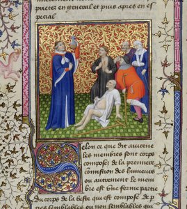 Ms.251 f.54v Een dokter met zijn patiënten, uit Des Proprietez des Choses, ca. 1415