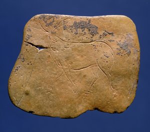Rendier, ingekerfde tekening op kalksteen, Paleolithicum, Magdalenien V, uit Laugerie Basse, Dordogne, ca. 12000 v.Chr. door Unbekannt Unbekannt