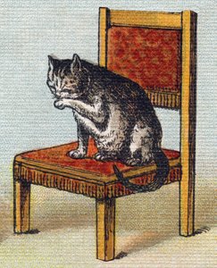 Een kat op een stoel. Gravure in "Alfabet van mijn kleine meisje". Bernardin-Bechet en Fils, boekhandel-uitgevers, Parijs, circa 1895. door Unbekannt