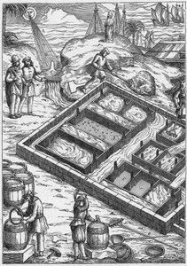 Een zoutmoeras in de 16e eeuw (gravure) door Unbekannter Künstler