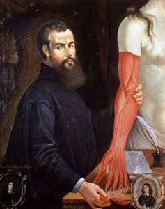 Andre Vesale (1514-1564) Vlaamse arts, vader van de moderne anatomie