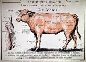 Dieren die we eten: het kalf, ca. 1910 (prent) door Unbekannter Künstler