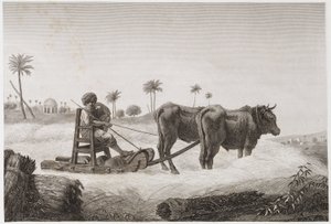 Akkerbouw, Oogsten Dorsmachine, Egypte, ca. 1798 door Unbekannt