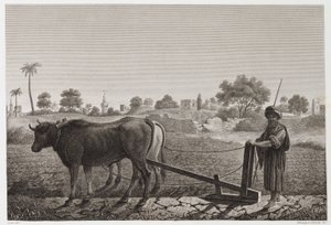 Akkerbouw, Ploegen Ploegen met ossen, Egypte, ca. 1798