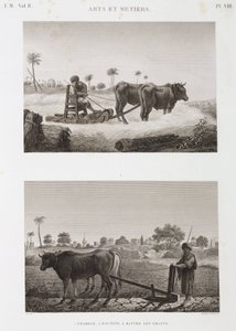 Akkerbouw, ploegen, dorsmachine en ploeg, Egypte, ca. 1798 door Unbekannt