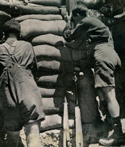 Britse troepen vechtend in kaki-drill shorts, Gallipoli-schiereiland door Unbekannt
