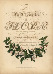 Kalligrafische titelpagina met botanische vignet door Unbekannt