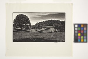 Landschap door Unbekannter Künstler