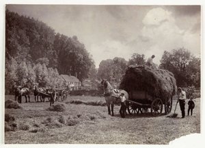 Landbouwscènes, Oogsten & Opslag, Pre-1900 Hooien, ca. 1890 door Unbekannt