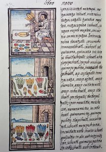 Verenverwerking na de Spaanse verovering, pagina uit de Florentijnse Codex, tweetalige versie in Spaans en Nahuatl, Algemene Geschiedenis van de Dingen van Nieuw-Spanje, door de Spaanse missionaris Fray Bernardino de Sahagun. Azteekse beschaving door William M. Timlin