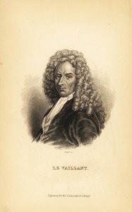 Francois le Vaillant, Franse auteur, ontdekkingsreiziger, natuuronderzoeker en ornitholoog