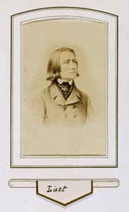 Franz Liszt als jongeman