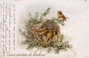 Franse wenskaart met roodborstje en nest elementen