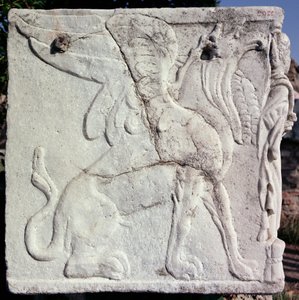 Begrafenisurn met gebeeldhouwd reliëf van een griffioen (steen)