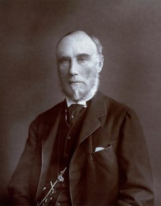 Halflang portret van de onderkoning van de Indiën Thomas Baring, graaf van Northbrook door Unbekannter Künstler