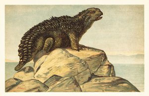 Hylaeosaurus armatus, uitgestorven herbivore ankylosaurische dinosaurus, 1908 door Unbekannter Künstler