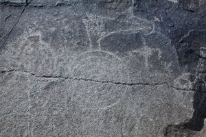Indiase Petroglyfen - Dier- en symbolische representatie - Petroglyph National Monument - Albuquerque, New Mexico, VS door William M. Timlin