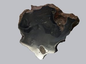 IJzermeteoriet (IAB). Gevonden in Canyon Diablo (VS) in 1891. Nationaal Natuurhistorisch Museum, Parijs