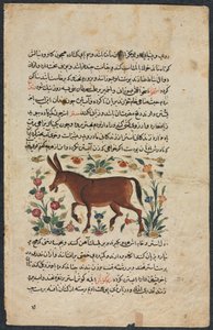 Khar (ezel), uit een Nuzhat-nama-yi ala