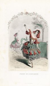 De granaatappelbloemfee danst - Les fleurs animées