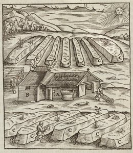 De voorbereiding van salpeter - Gravure uit Beschrijving van de ertsen en de belangrijkste mijnbouwmethoden, door Lazarus Ecker door Unbekannt