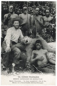 De cynocephalus aap met leeuwenkop, ca. 1910 (litho) door Unbekannt