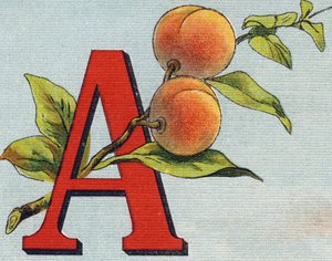 Letter A: abrikoos door Unbekannt