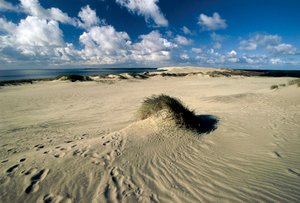 Zandduinen genaamd Pruisische Sahara, Nida, Koerse Schoorwal, Litouwen
