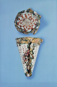 Louis XV gouden snuifdozen in de vorm van schelpen door B. Sagaret, Parijs (1715-74)